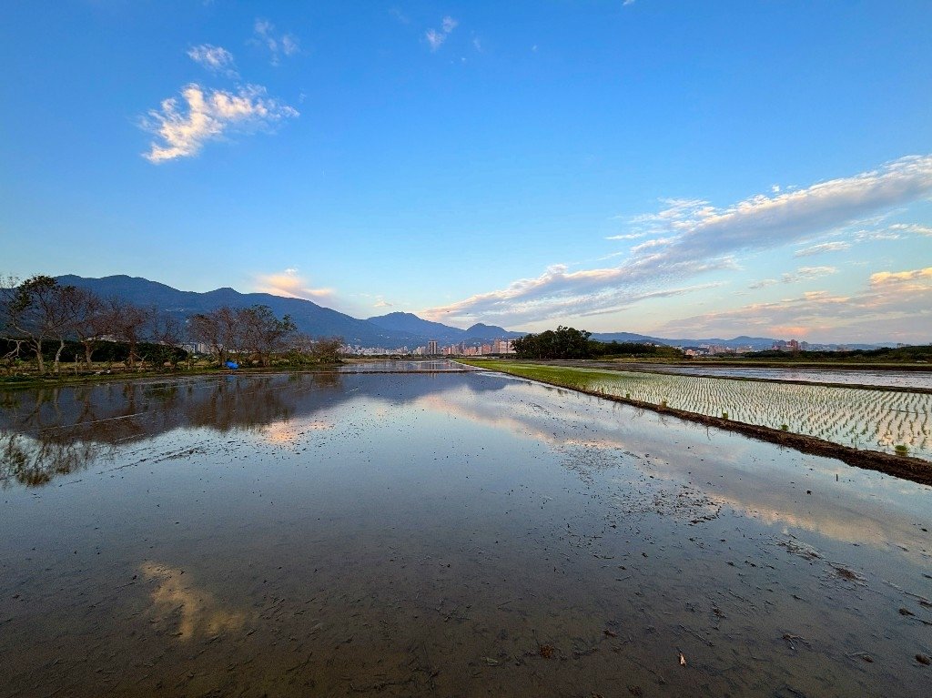 為天地寫日記(關渡平原與靜思堂夕陽、卷積雲)(2025.03