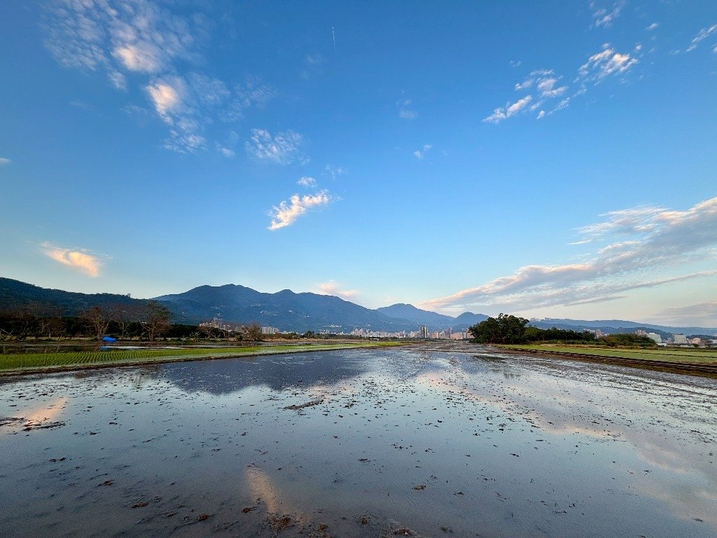 為天地寫日記(關渡平原與靜思堂夕陽、卷積雲)(2025.03