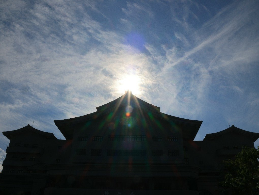 為天地寫日記(關渡靜思堂光影)(2025.04.22)