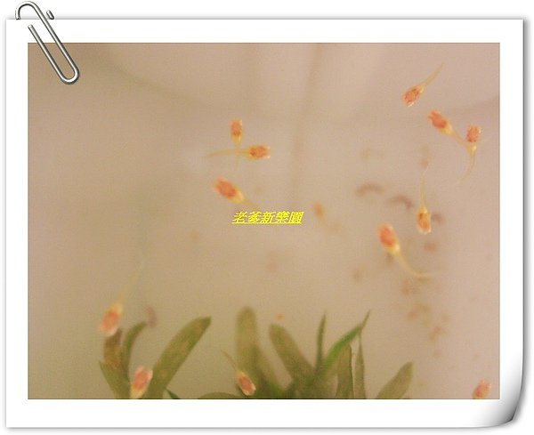 nEO_IMG_CIMG8324.jpg