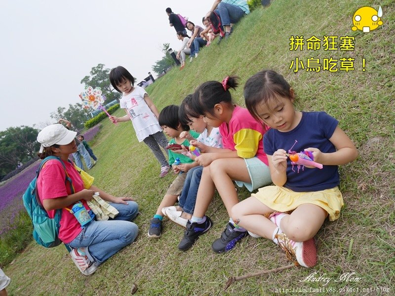 P1940503.JPG