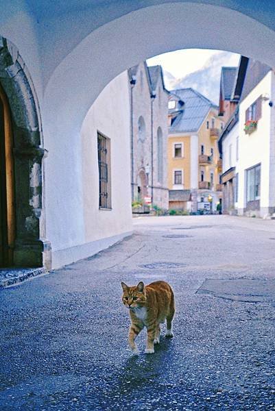 [2024 奧匈捷] Hallstatt 哈修塔特