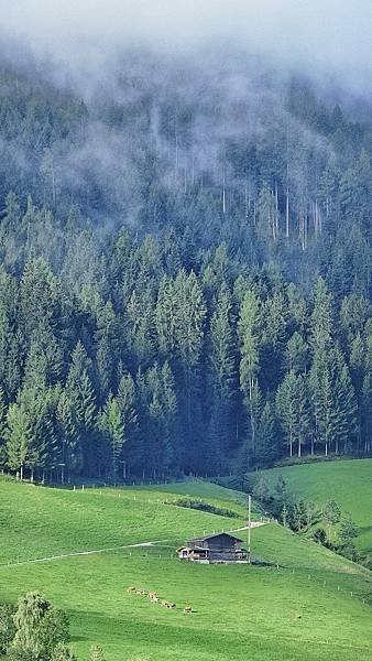 [2024 奧匈捷] Alpbach 阿爾卑巴赫