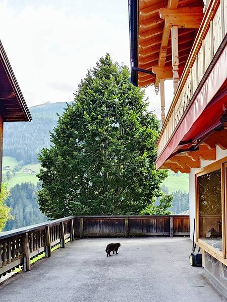 [2024 奧匈捷] Alpbach 阿爾卑巴赫