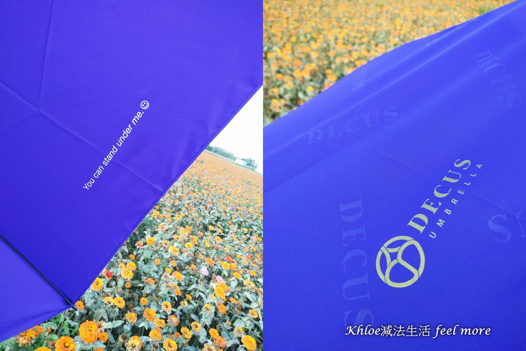DECUS04.jpg