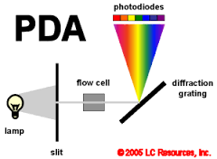 PDA