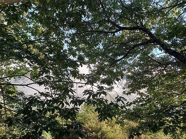 【露營】二露：巴棍民宿露營區