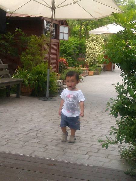 IMAG0734.jpg