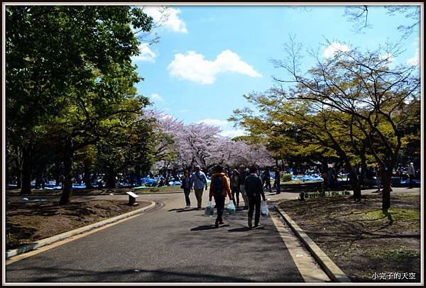 代代木公園