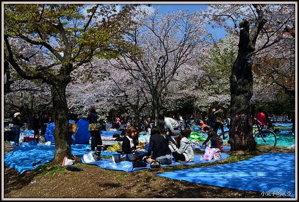 代代木公園