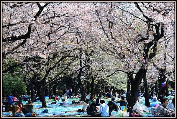 代代木公園