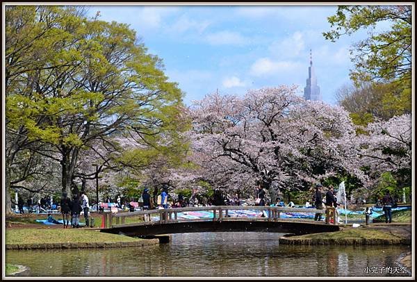 代代木公園