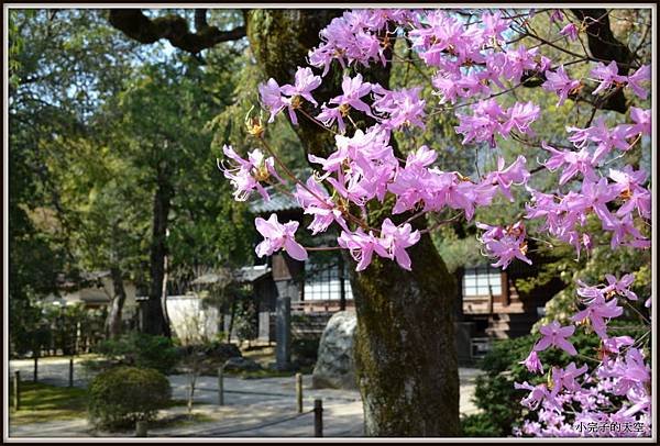 川越市-中院