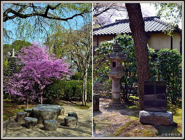 川越市-中院