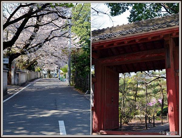 川越市-中院