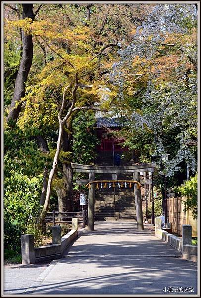 川越市-仙波東照宮