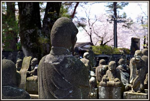 川越市-喜多院