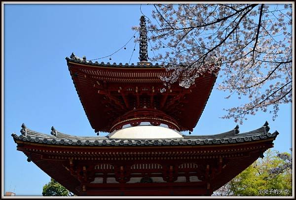 川越市-喜多院