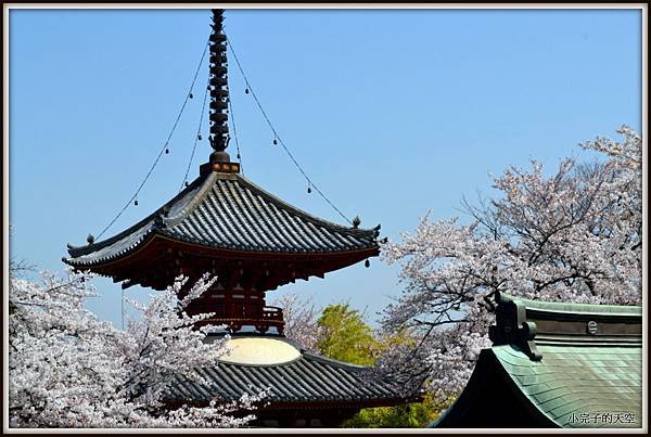 川越市-喜多院