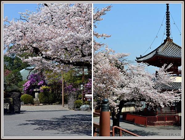 川越市-喜多院