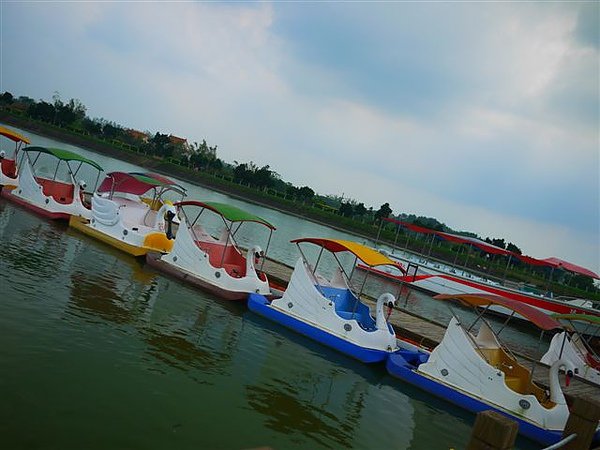 P1000985.JPG
