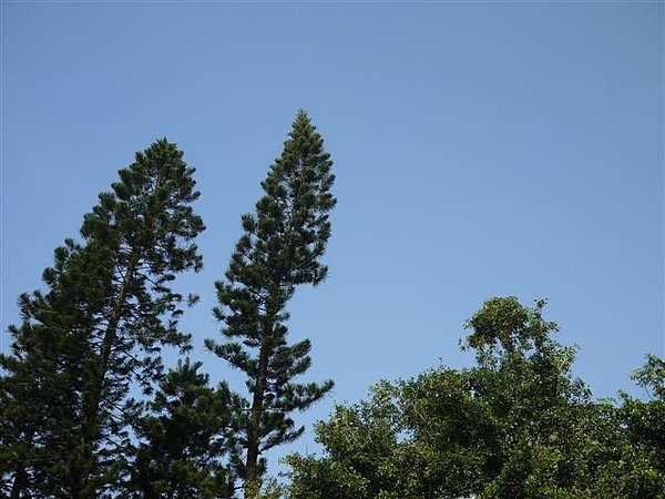 P1000634.JPG