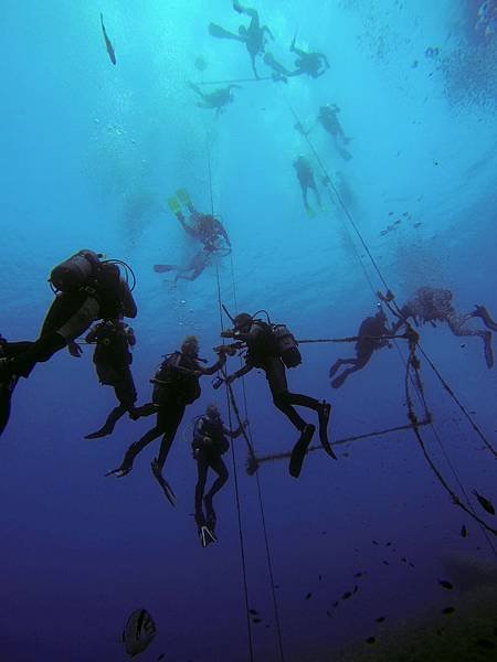 zenobia-trapeze-safety-stop1