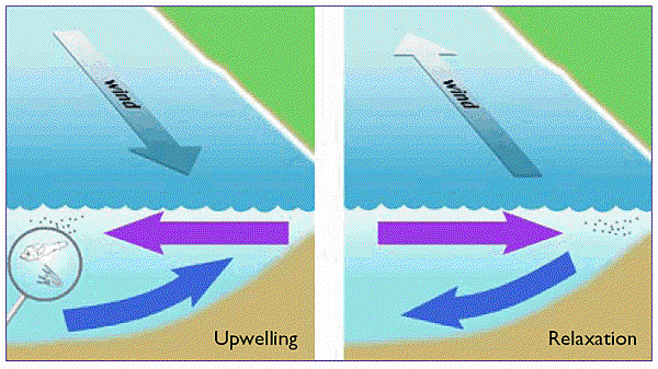 upwelling