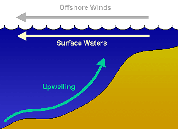 upwelling