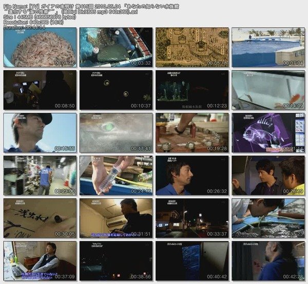 [TV] ガイアの夜明け 第415回 2010.05.04 「あなたの知らない水族館 ～進化する“海の技術”～」 (地Digi DivX685 mp3 640x360).avi.jpg