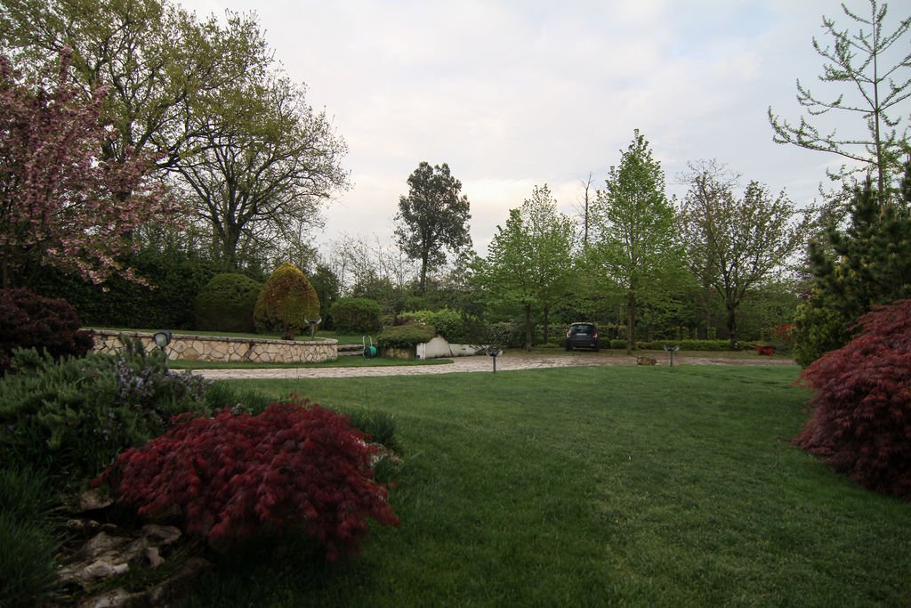 IMG_6383.jpg