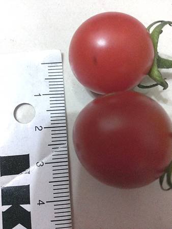IMAG0513
