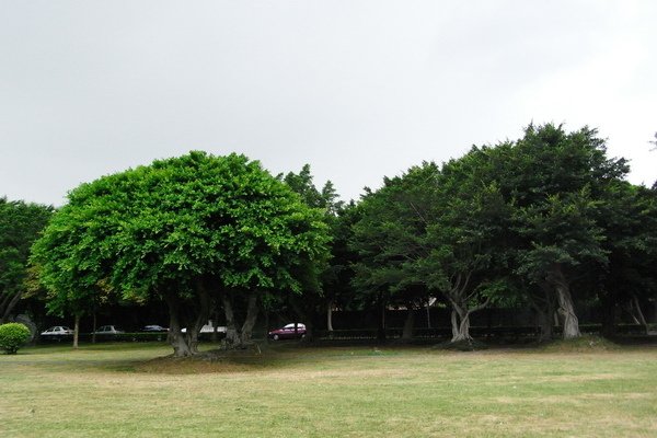 R0010834.JPG
