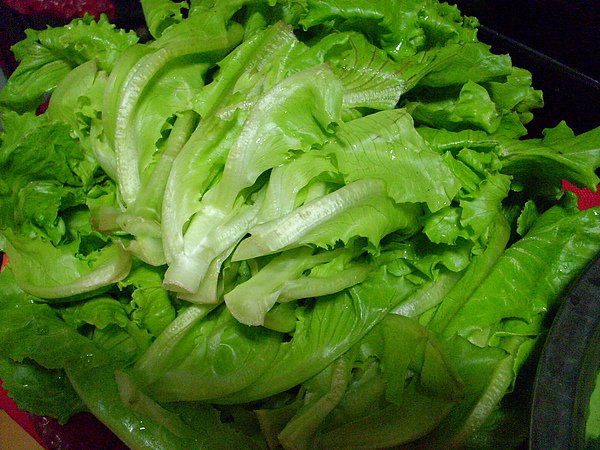 照片 1116.jpg