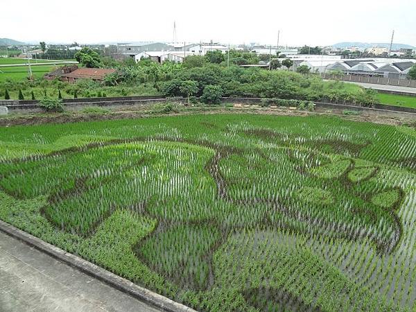 PhotoCap_DSC02812.jpg