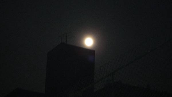 DSC04754