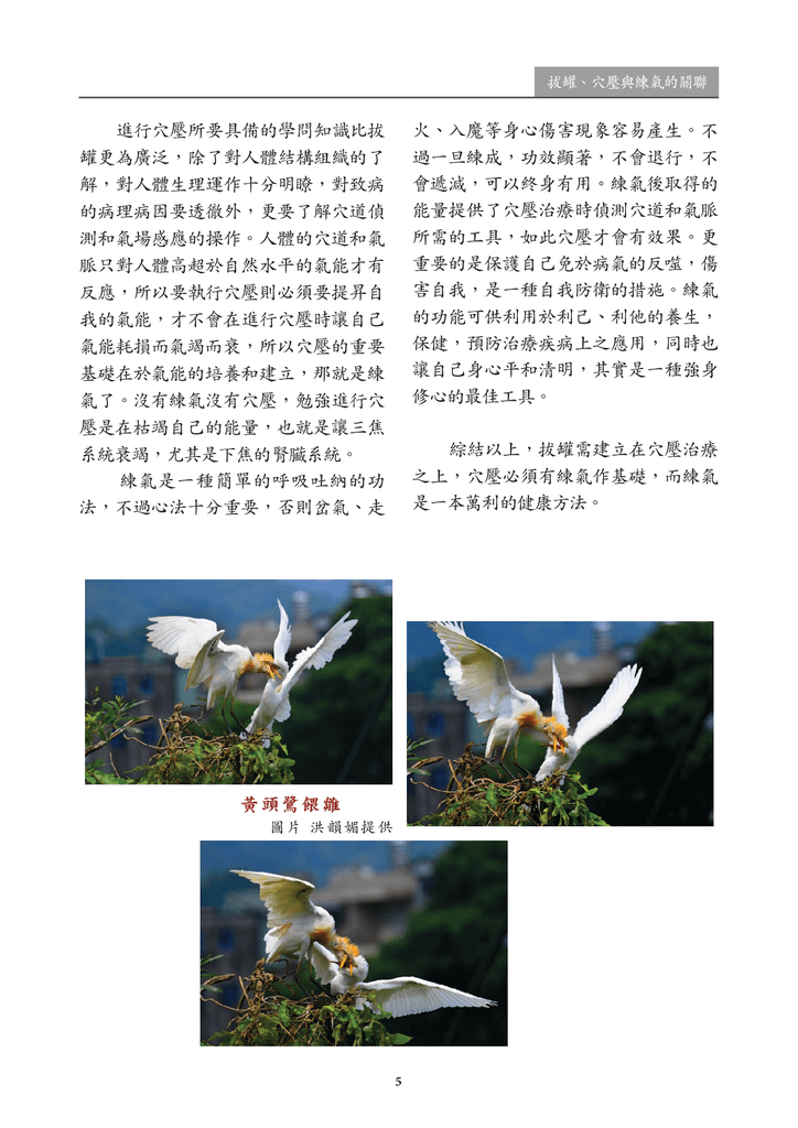 新醫學期刊 第二期 定稿 2019022706.png