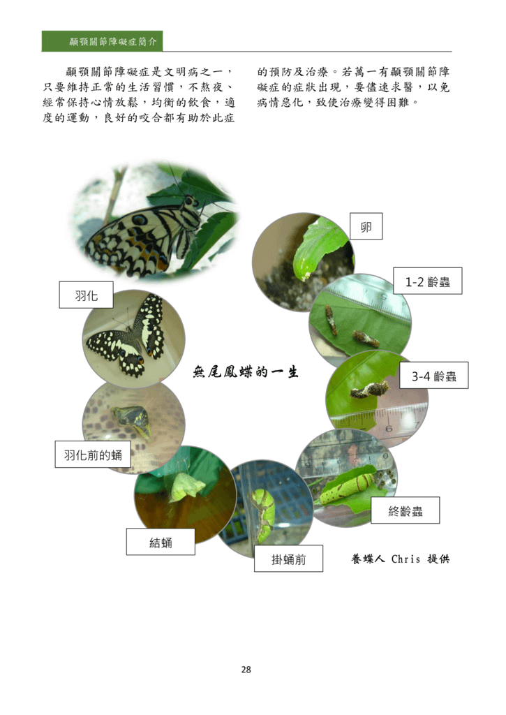 新醫學雜誌第5期PDF版_030.png
