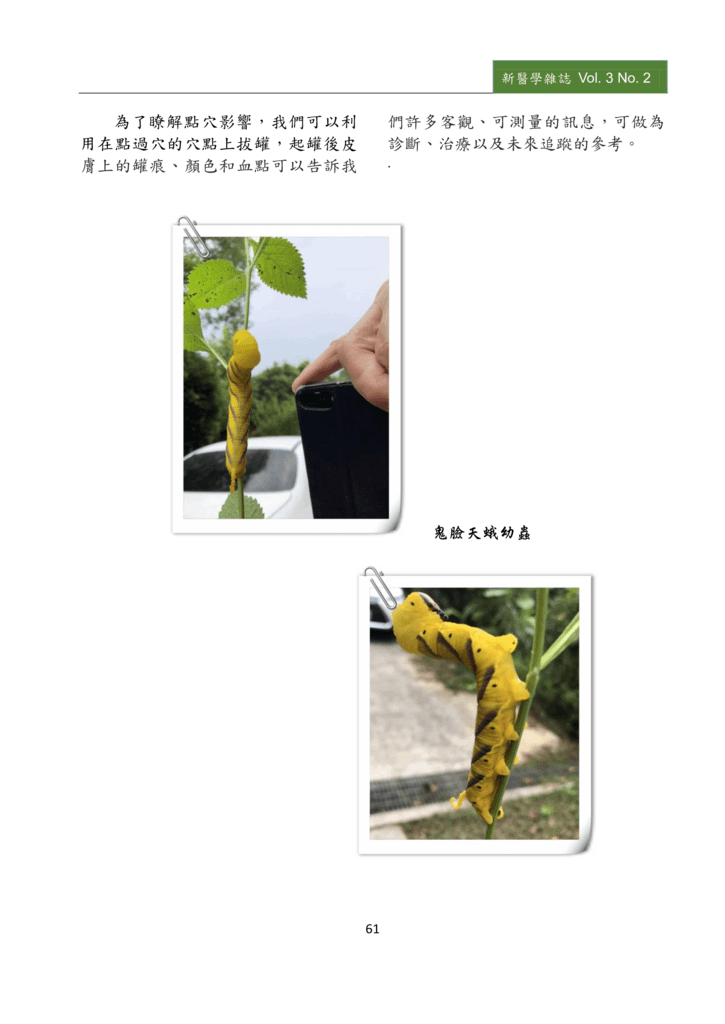 新醫學雜誌第5期PDF版_063.png
