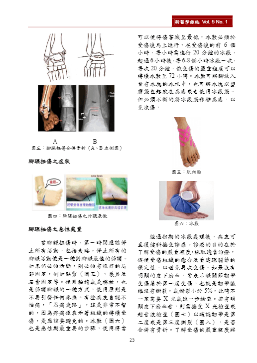 新醫學雜誌第8期25.png