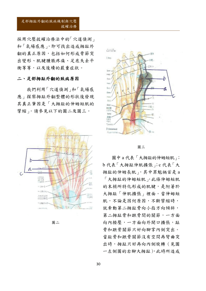 新醫學雜誌第十一期全文PNG檔(適合以手機閱讀)