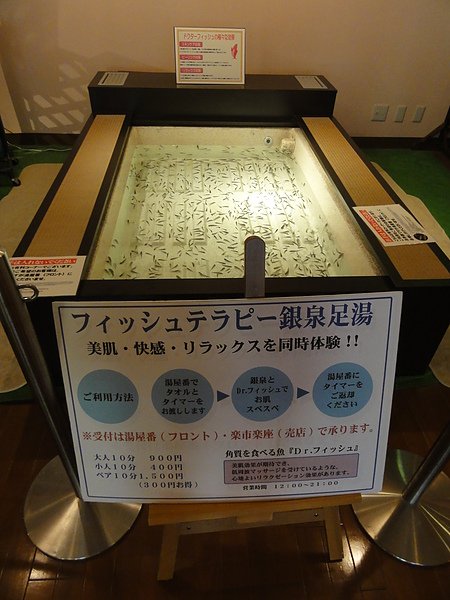 DSC08283.JPG