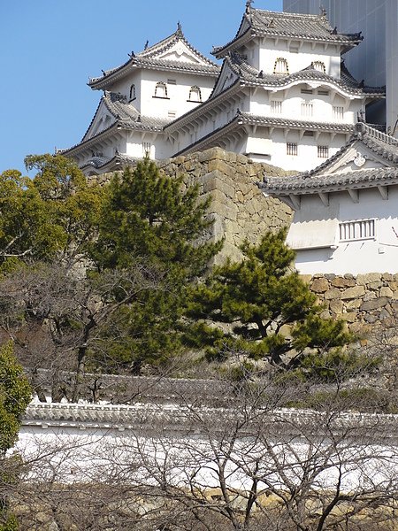 DSC08124.JPG