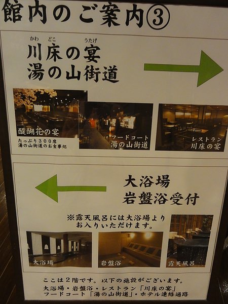 DSC08331.JPG