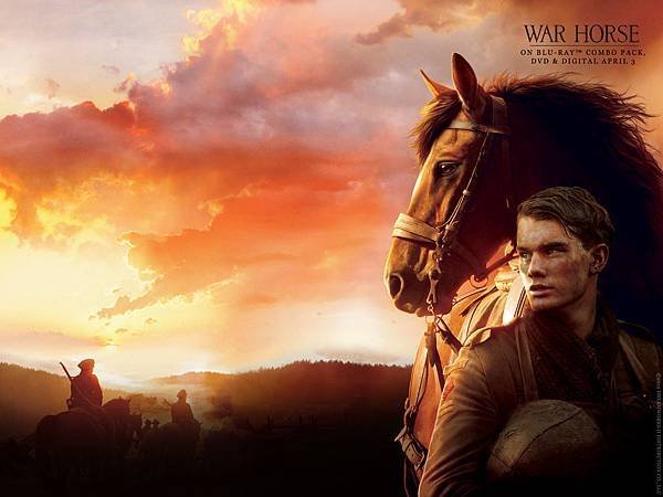 war-horse-dl-wallpaper-1600x1200-1