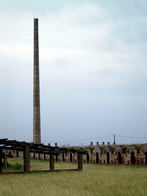 2011071901.jpg