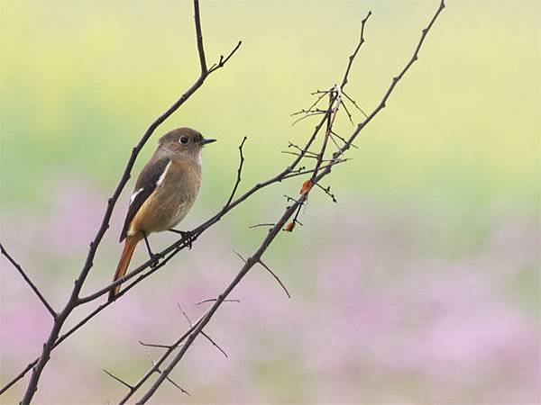 2012021403.jpg