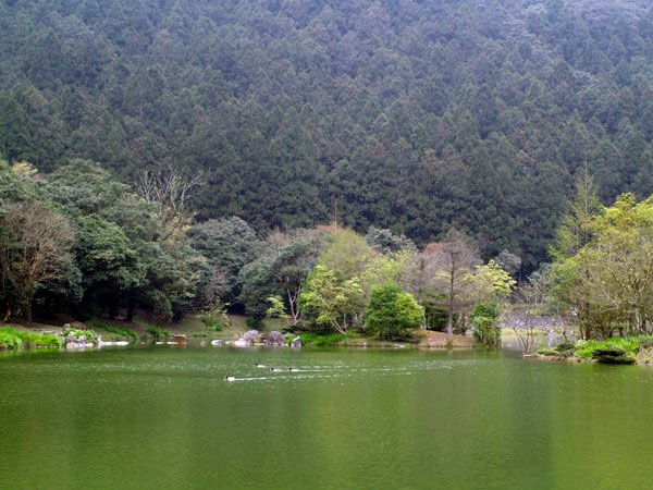 2011040402.jpg