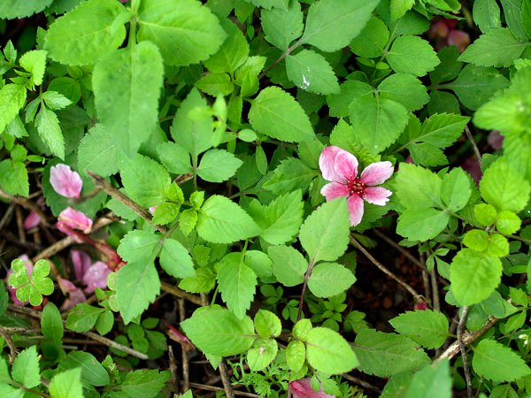 2011030504.jpg