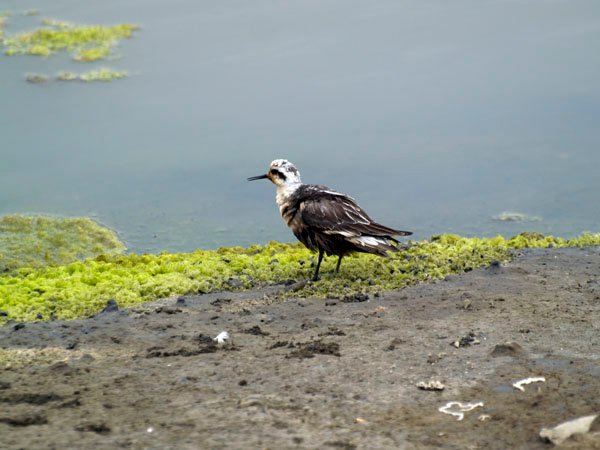 2011030301.jpg